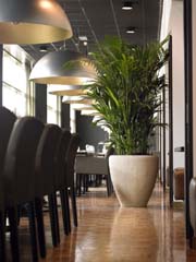 home-polystone couplepre-klein